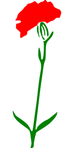 Com a democratização do sistema politico, reúnem-se as condições necessárias para a criação do SNS.
