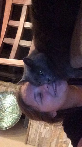 Financially and Sociably Stable