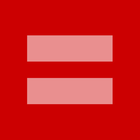 Legalization of Gay Marriage