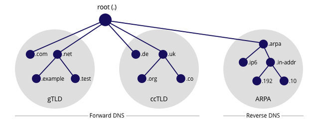Creación del DNS