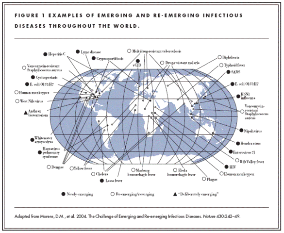 How diseases were spread