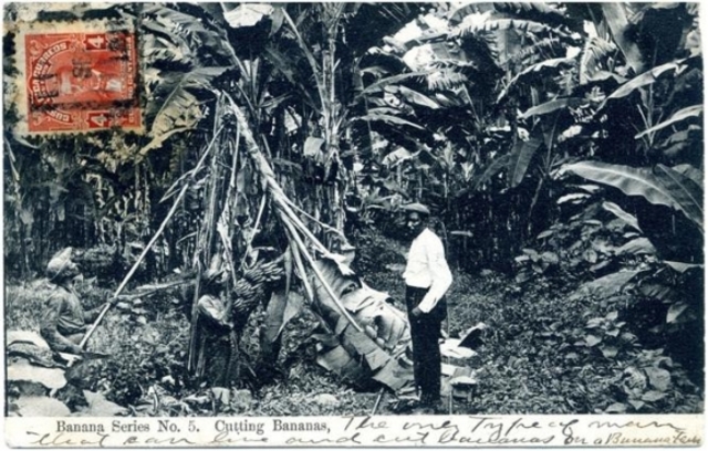 América Latina se inserta al mercado mundial.