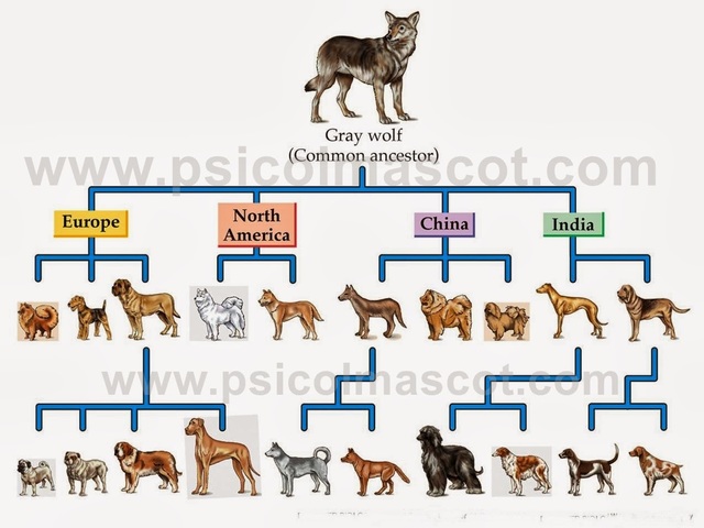Los descendientes del lobo