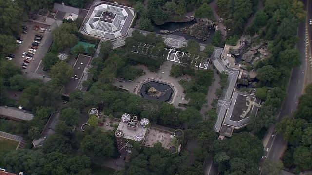 USA, Central park zoo