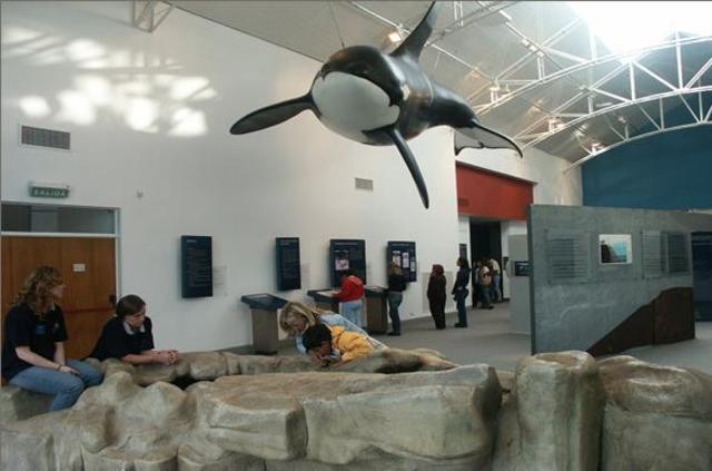 Vamos a el ecosentro!!!!!