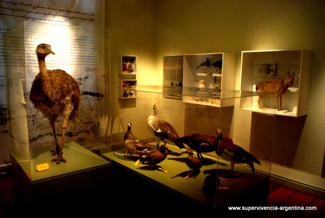 Visitaremos el museo El Hombre Y El Mar