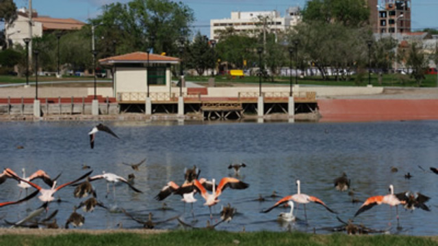 Vamos a la laguna chiquichano!!