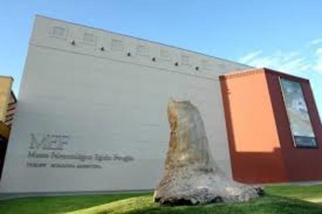 El Final De Nuestra Aventura En El Museo Paleontológico