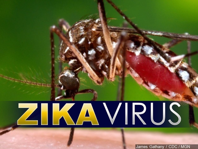 Zika Virus