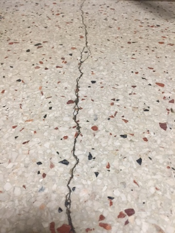 Texas Public Education Failed This Student