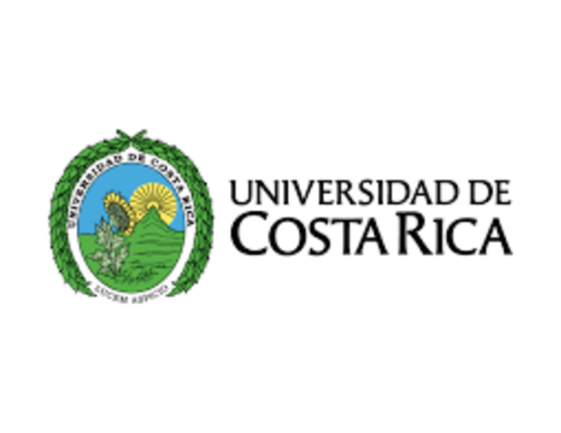 Primer año en la Universidad