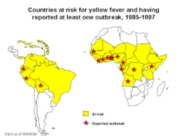Transmission of Yellow Fever discovered.