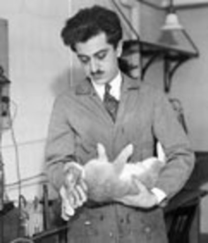 IVF Experiments with Rabbits