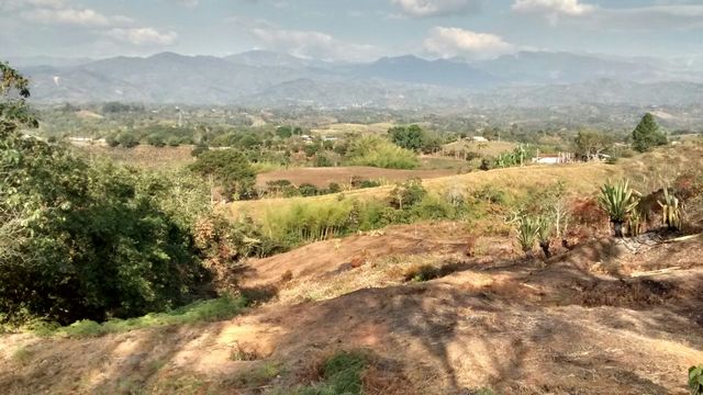 VIVIENDO EN LA FINCA