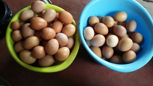 EL RESULTADO DE MI TRABAJO