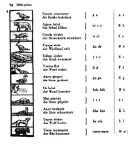 COMENIO Y PEDAGOGÍA