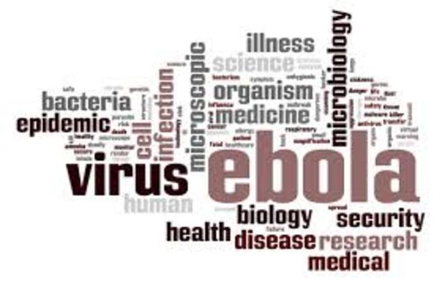 prevention of diseases today