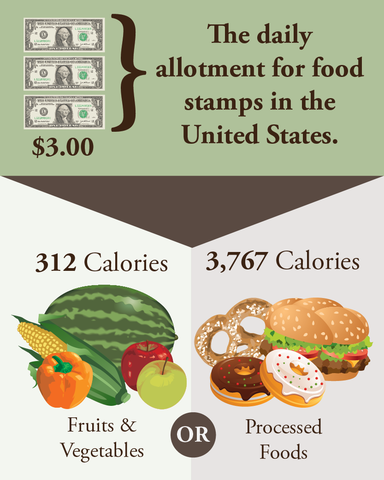 Consequences of Processed/ Enhanced Foods