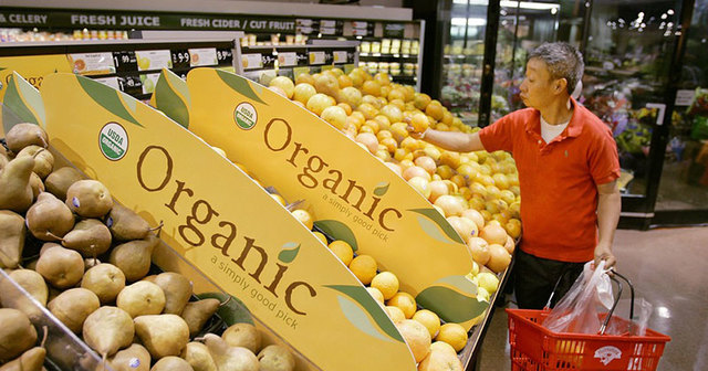 The Start of Faster Production Foods