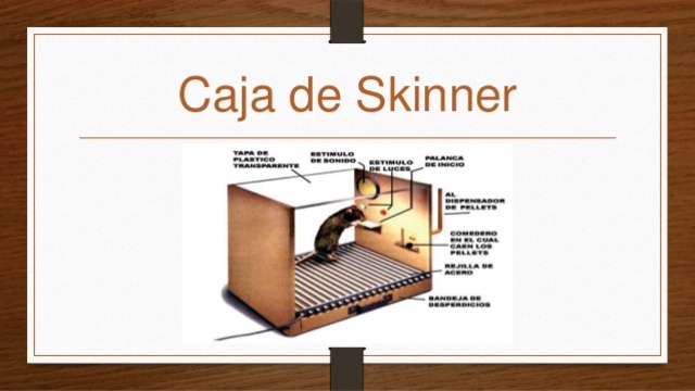 Burrhus Frederic Skinner .