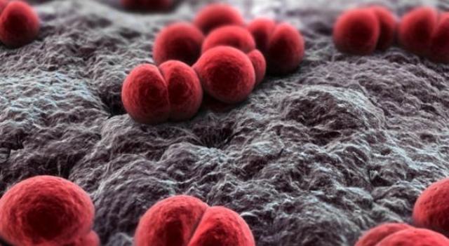 Man Made Meningitis Outbreak