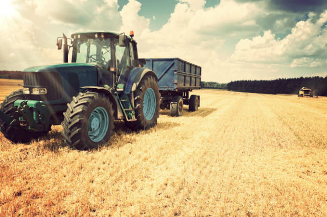 First Signs of Agriculture