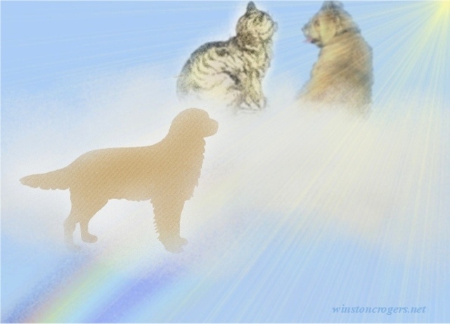 my dog died,rating 0