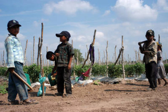 Convenio sobre las peores formas de trabajo infantil, 1999 (núm. 182)
