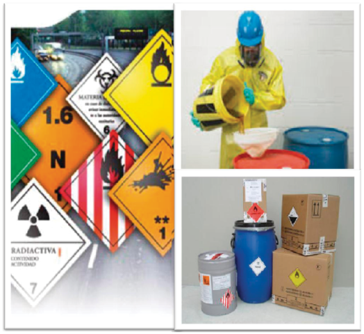 Decreto 1295 de 1994