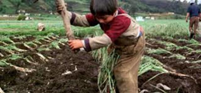 CODIGO SUSTANTIVO DEL TRABAJO art 171