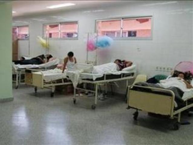 Decreto 205 del 2003