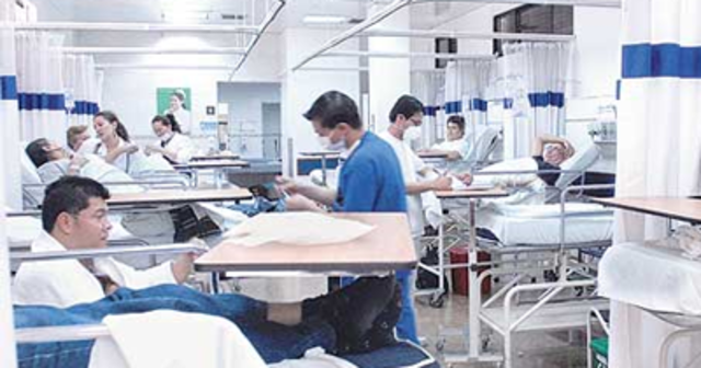 Decreto 205 del 2003