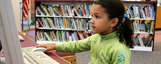 Decreto 0859 de 1995.