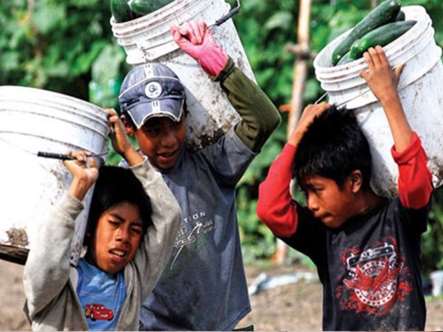 RESOLUCIÓN 2070 DE 2008