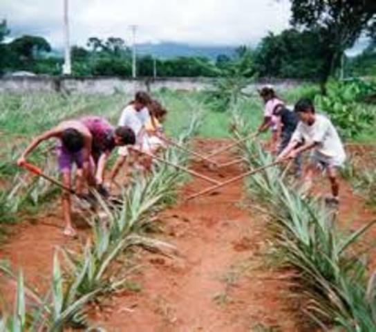 RESOLUCION 01677 DEL 2008