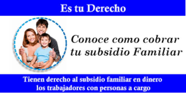 Decreto 205 del 2003