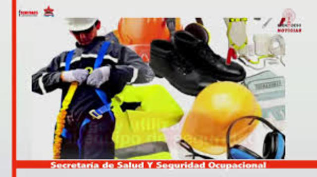 Decreto 205 del 2003