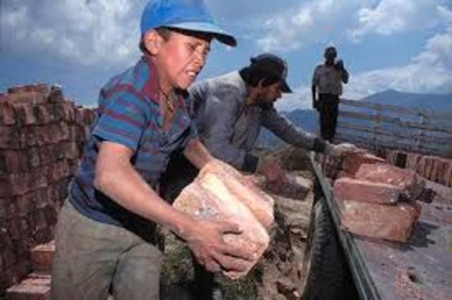 Decreto 0859 de 1995.