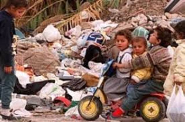 Decreto 205 del 2003