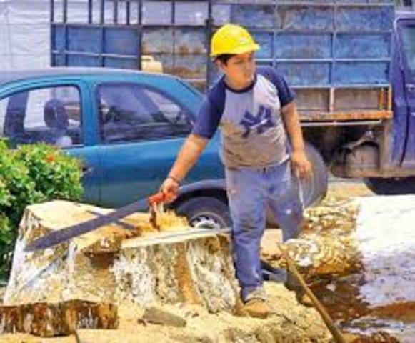 Ley contra el Trabajo Infantil LEY 15 1925