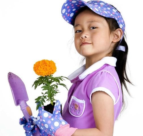 RESOLUCIÓN 6054 DE 2010