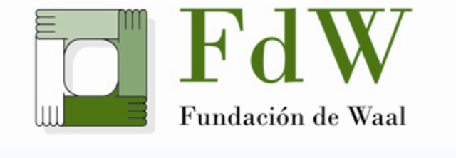 Campaña Prevención de embarazo adolescente