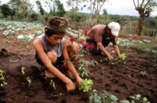 RESOLUCIÓN  2438 DE 2010