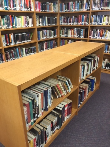 Introduction to the Public Library