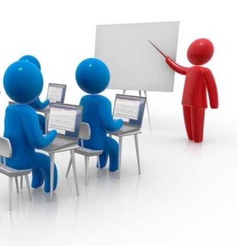 Pautas del trabajo final inducción