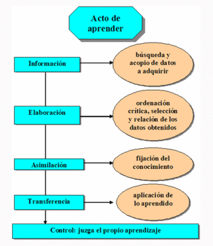 El proceso educativo es un sistema abierto