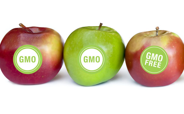 GMO Fraud