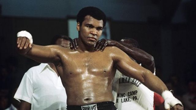 Peleas finales y retiro definitivo