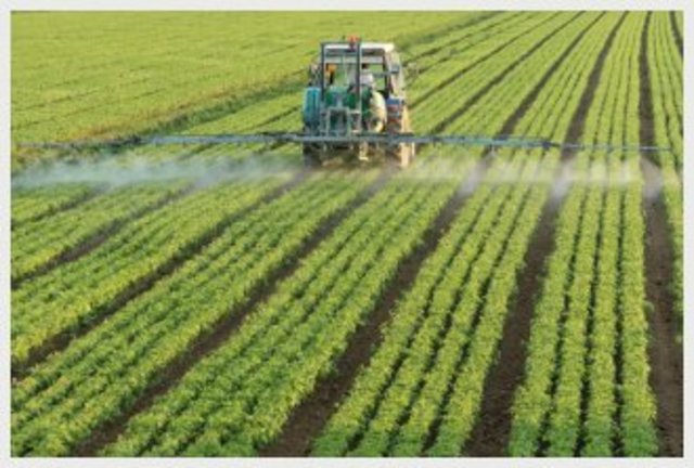 Use of pesticides and fertilizers for Crops (late 60's through early 70's)