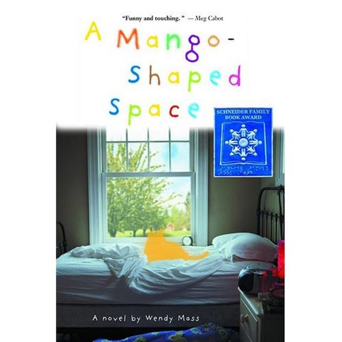 Summer Reading- A Mango Shaped Space